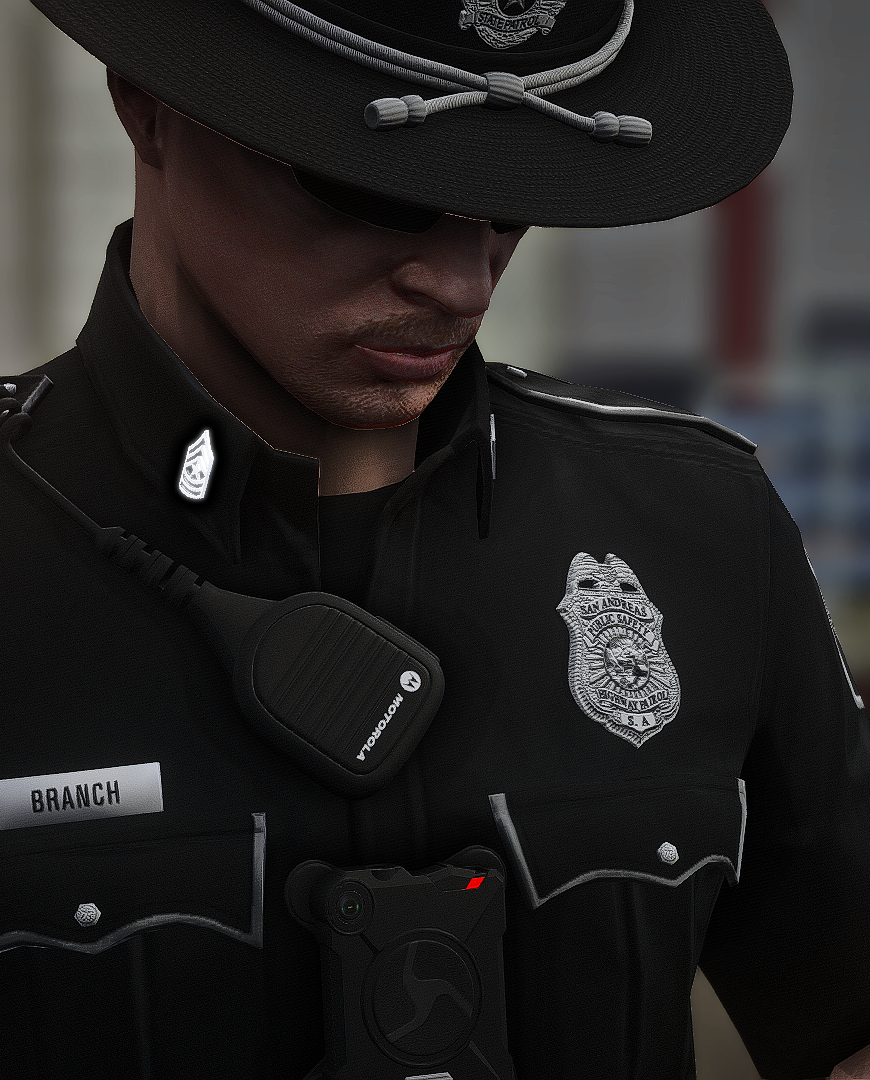 Collar Rank EUP Pack
