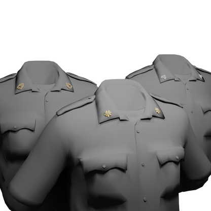 Collar Rank EUP Pack