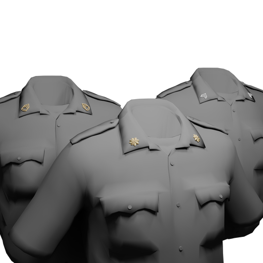 Collar Rank EUP Pack